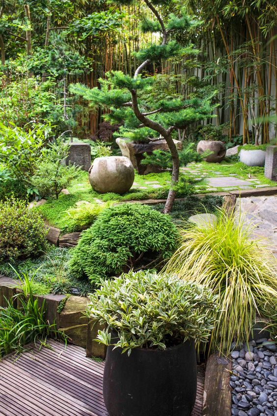 Jardín zen: cómo crearlo, tips y recomendaciones - Blog de paisajismo